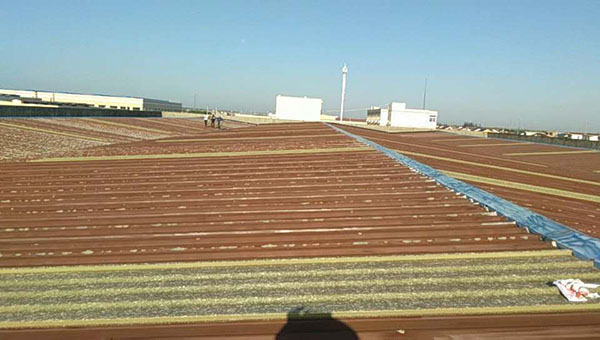 舊房彩鋼瓦屋面翻新每平方多少錢？